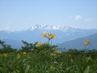 金剛堂山